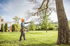 Best Lot and Land Clearing  in Mequon, WI