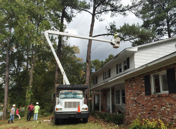 Best Aeration Services  in Mequon, WI