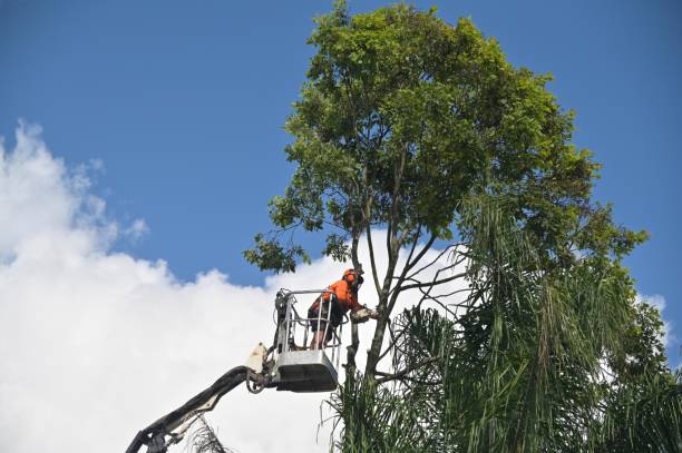 Mulching Services in Mequon, WI